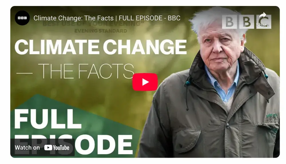 Why Sustainable Web Design Matters Now