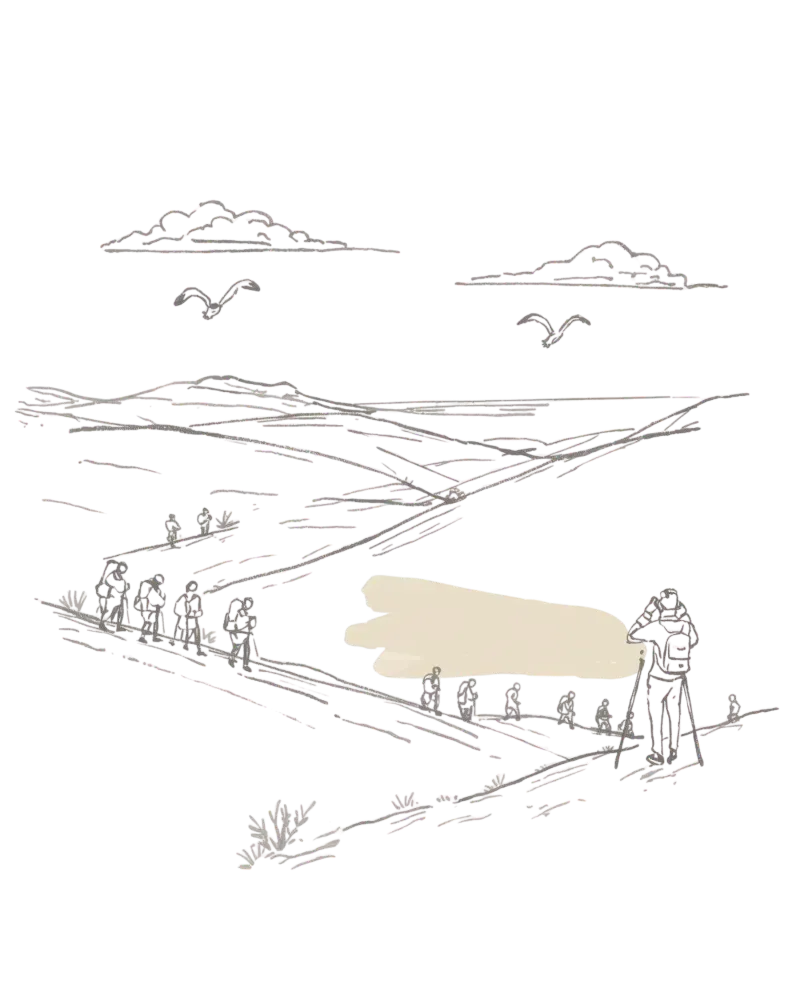 Hillwalkers on green rolling hills with sea, seagulls and clouds in grey lines.